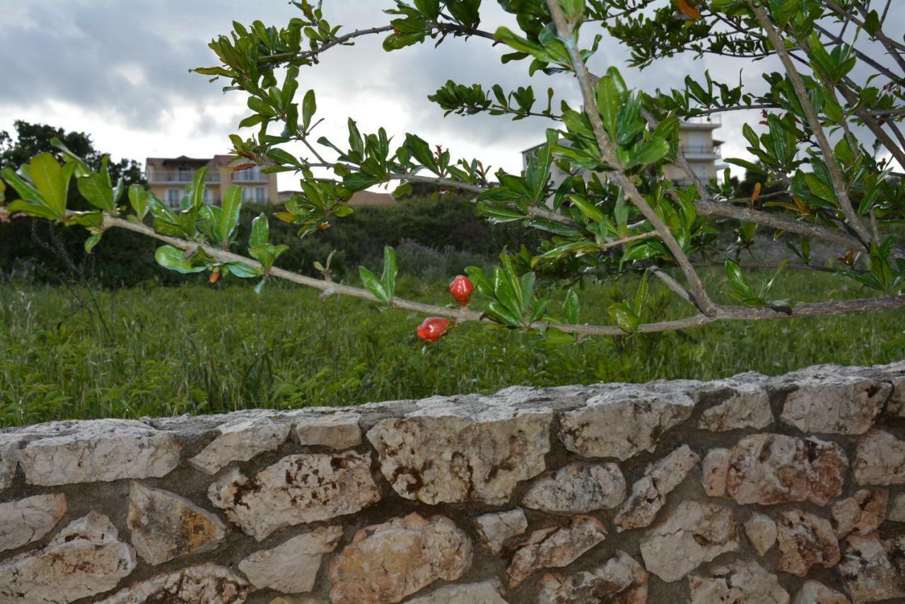 Lotus Sea View Apartments Lixouri Luaran gambar